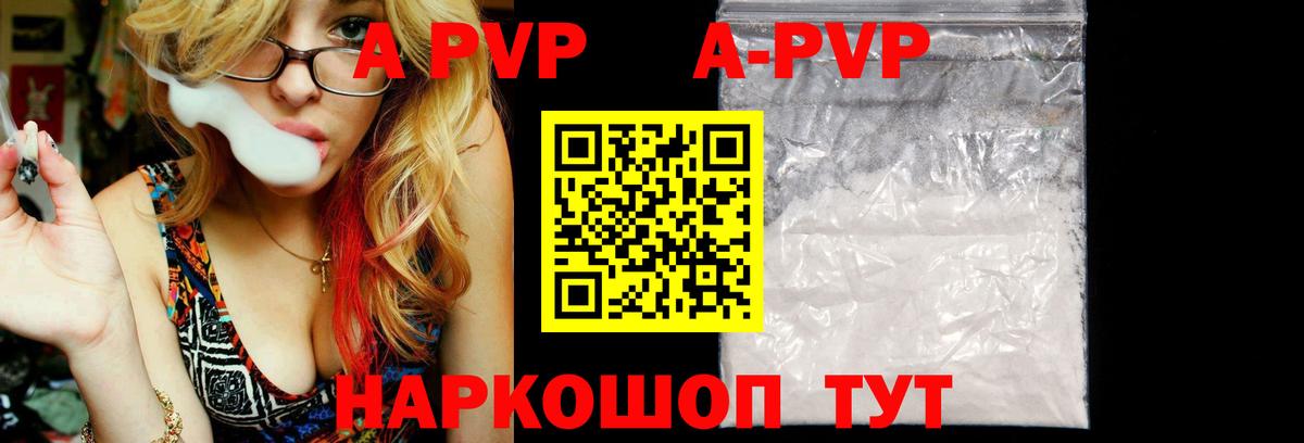 Альфа ПВП СК Сунжа