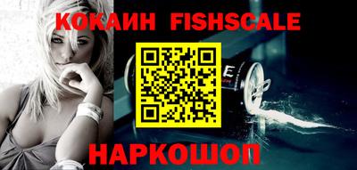 амф Сланцы