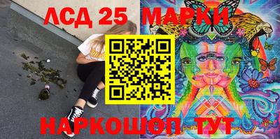 амф Сланцы