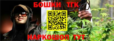 амф Сланцы
