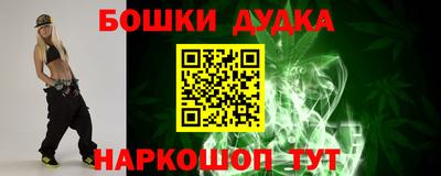 амф Сланцы