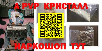 амф Сланцы