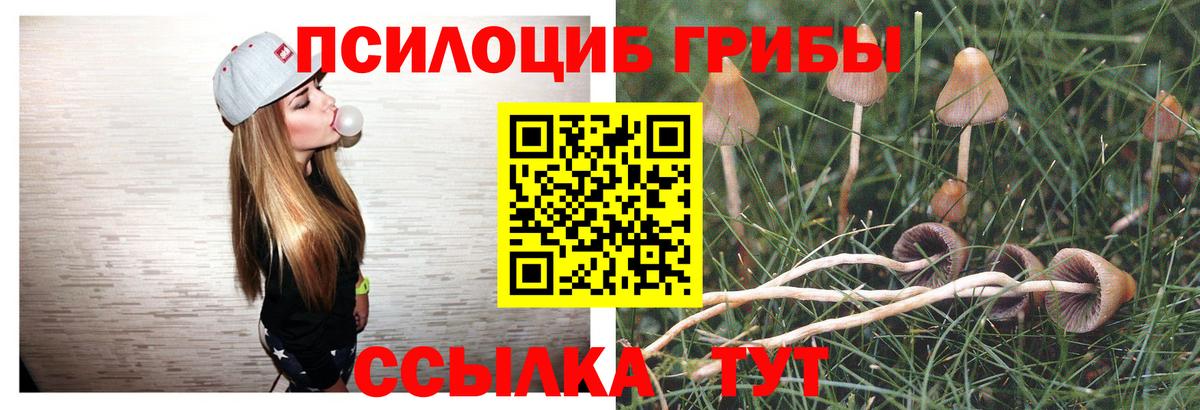 Галлюциногенные грибы ЛСД Сунжа