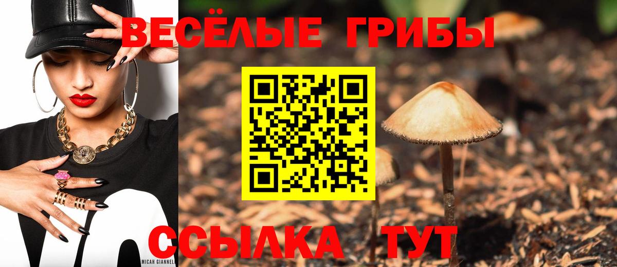 Сунжа  что такое   Вход с VPN  Галлюциногенные грибы мухоморы 